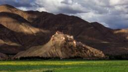 Golden Momos - tibetische Teigtaschen_Dach der Welt