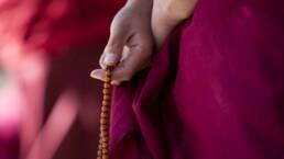 Golden Momos - tibetische Teigtaschen_Gebet
